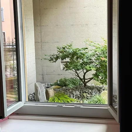 招待所 Belforte Minusio